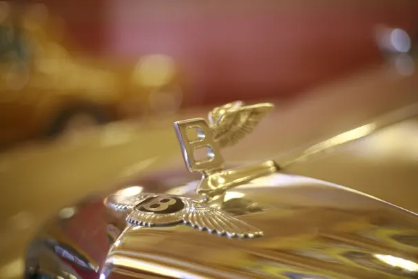 Casino Bet Winner App Android/iOS